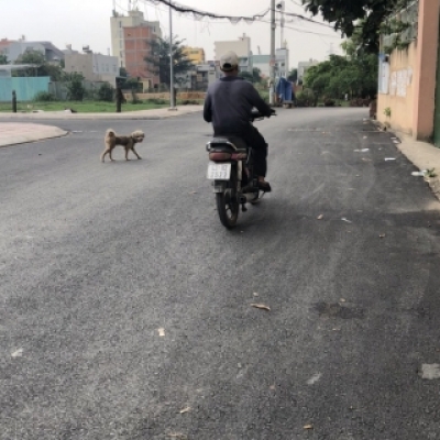 Bán đất ở đường Lê Trọng Tấn, P. Bình Hưng Hoà, Bình Tân.