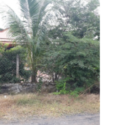 Bán đất ở 4*30 Đức hòa thượng ,Long An