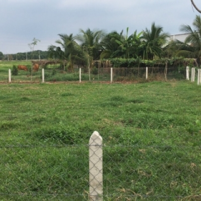 Bán  566 m( 15x40 m)  ,Xã Nhuận Đức ,Củ Chi ,Tp.HCM