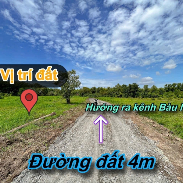 15 000m2 Gò Dầu Tây Ninh 7,5 tỷ 