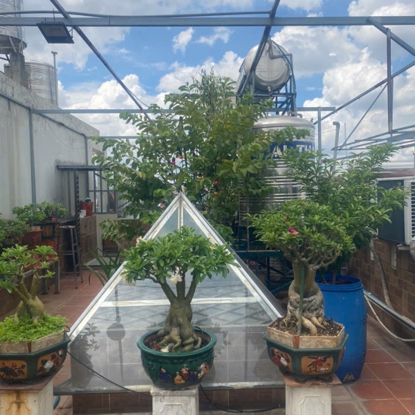 SIÊU PHẨM 100 M2   ĐƯỜNG SỐ 8, BHH, BÌNH TÂN