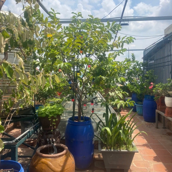 SIÊU PHẨM 100 M2   ĐƯỜNG SỐ 8, BHH, BÌNH TÂN