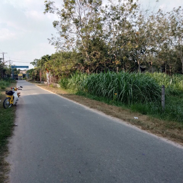 Bán 3600 m ( 58 x 60 m) Xã An Nhơn Tây Củ Chi 