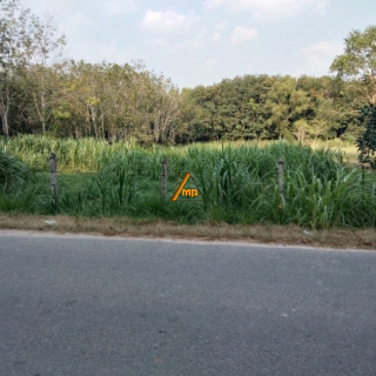 Bán 3600 m ( 58 x 60 m) Xã An Nhơn Tây Củ Chi 